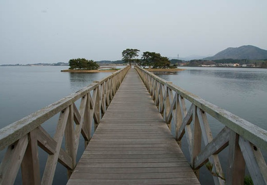 201005051735-DSC09291.jpg