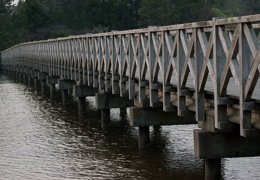 201005051756-DSC09385.jpg