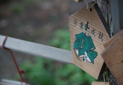 201005051818-DSC09441.jpg