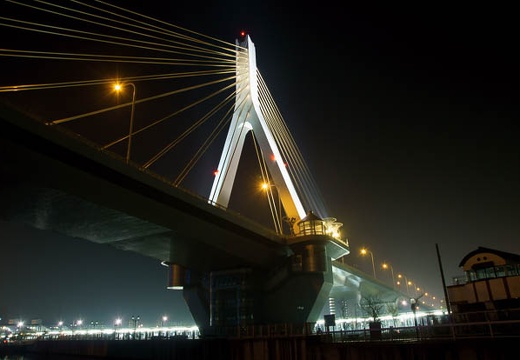 201005052113-DSC09497.jpg