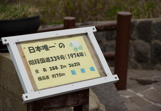 201005061253-DSC09970.jpg
