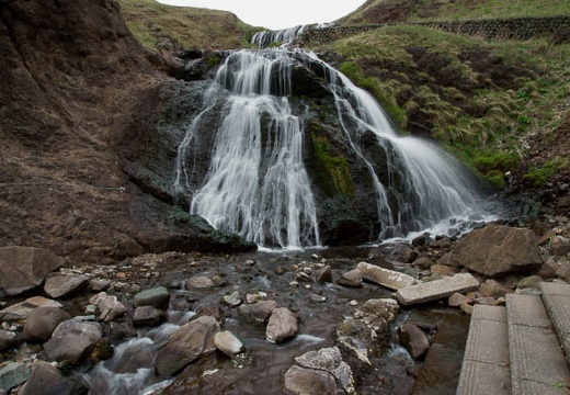 201005061456-DSC00135.jpg