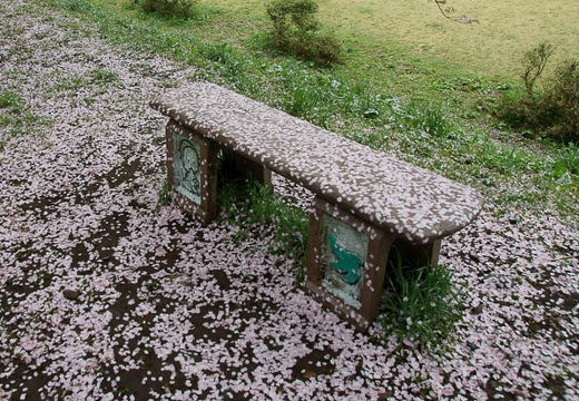 201005071043-DSC00243.jpg