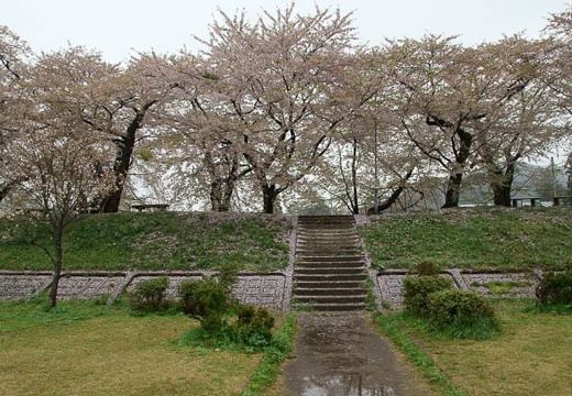 201005071045-DSC00251.jpg