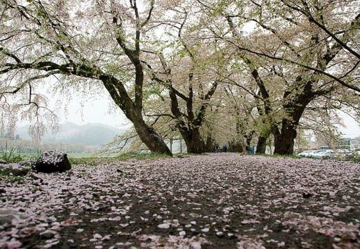 201005071048-DSC00257.jpg