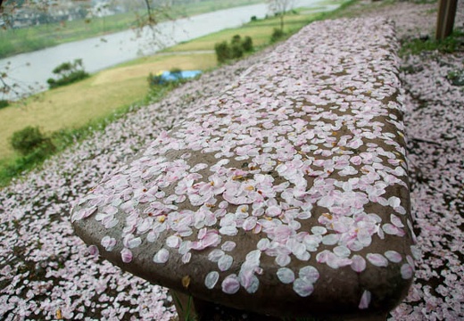201005071054-DSC00273.jpg
