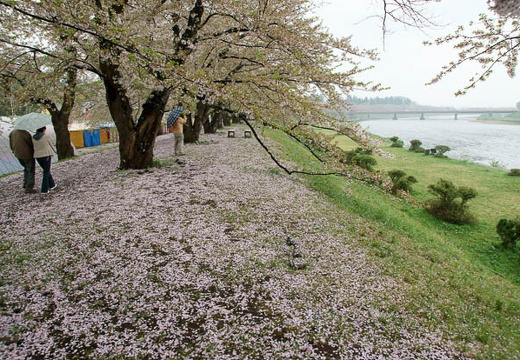 201005071057-DSC00279.jpg