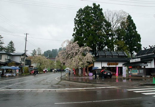 201005071104-DSC00298.jpg