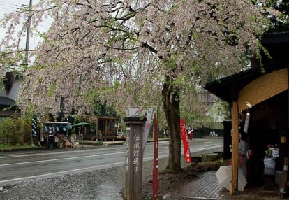 201005071105-DSC00300.jpg