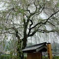 201005071250-DSC00513.jpg