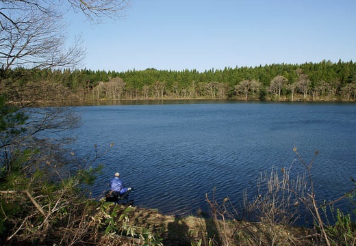 201005080654-DSC00606.jpg