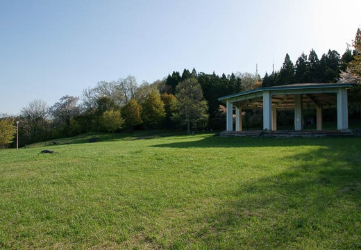 201005080658-DSC00609.jpg