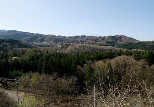 201005080726-DSC00648.jpg