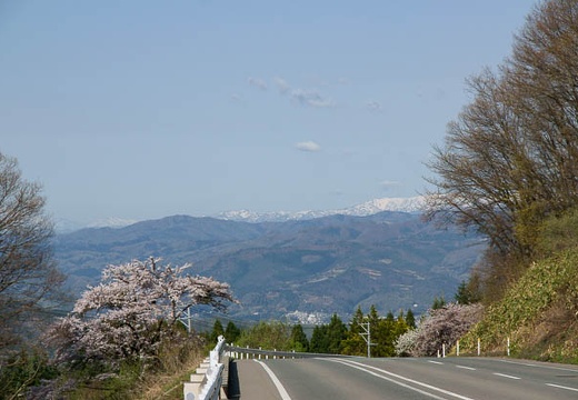 201005080726-DSC00649.jpg