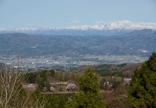 201005080741-DSC00662.jpg