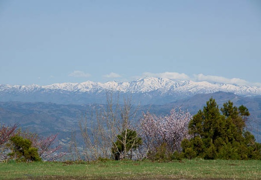 201005080743-DSC00668.jpg
