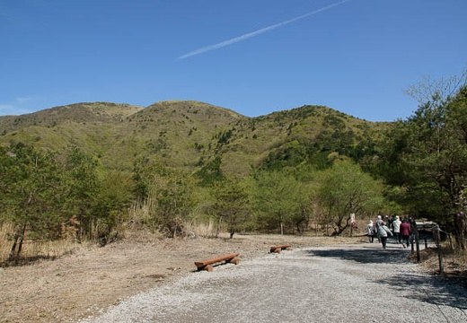 201005140844-DSC01372.jpg