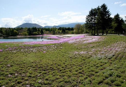 201005140851-DSC01377.jpg