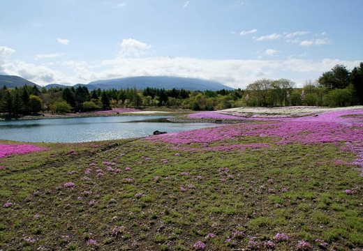 201005140853-DSC01382.jpg