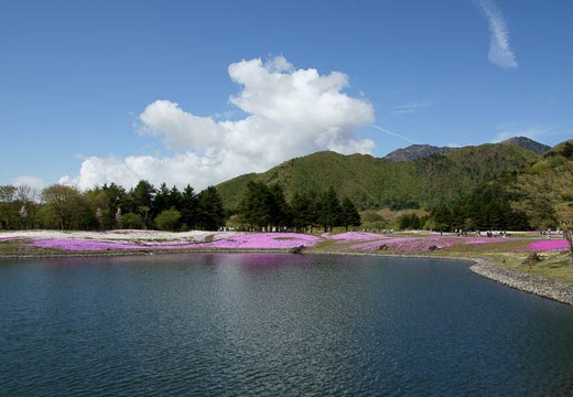 201005140857-DSC01396.jpg