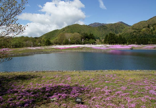 201005140900-DSC01402.jpg
