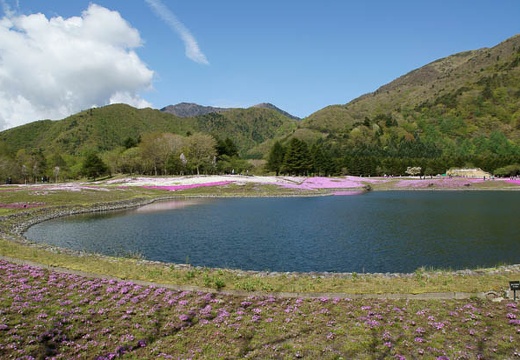 201005140900-DSC01405.jpg
