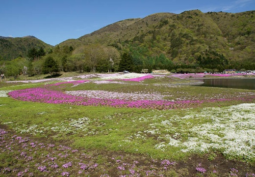 201005140903-DSC01412.jpg