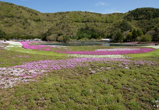 201005140904-DSC01413.jpg