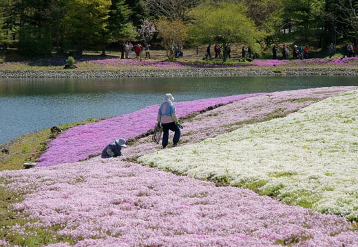 201005140909-DSC01426.jpg