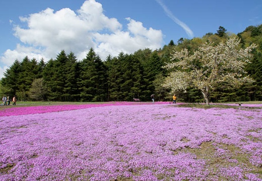 201005140914-DSC01432.jpg
