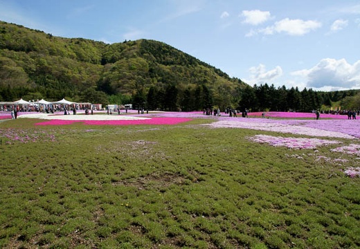 201005140915-DSC01433.jpg