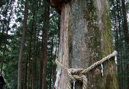201005141210-DSC01585.jpg