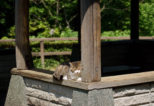 201005211338-DSC02594.jpg