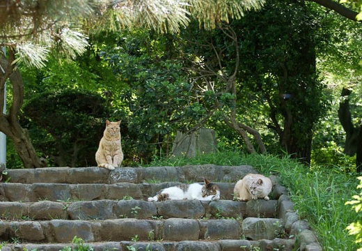 201005211338-DSC02596.jpg