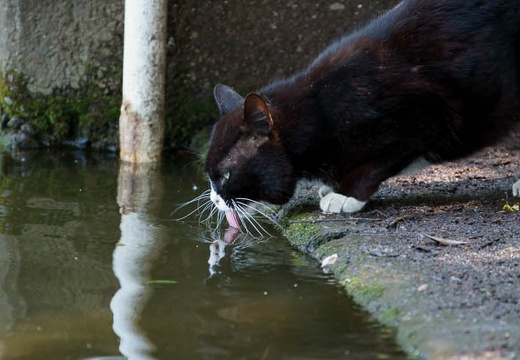 201005211349-DSC02621.jpg