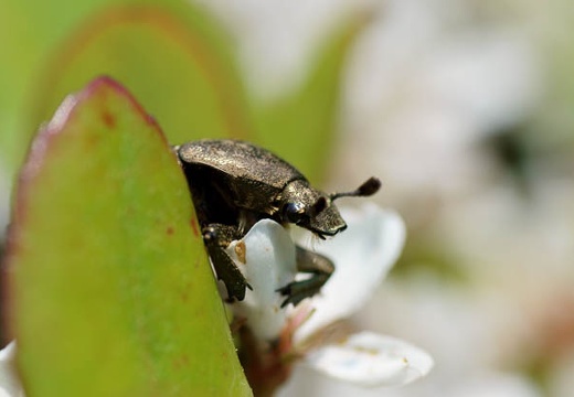 201005251137-DSC03039.jpg