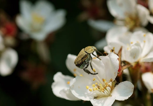 201005251149-DSC03064.jpg