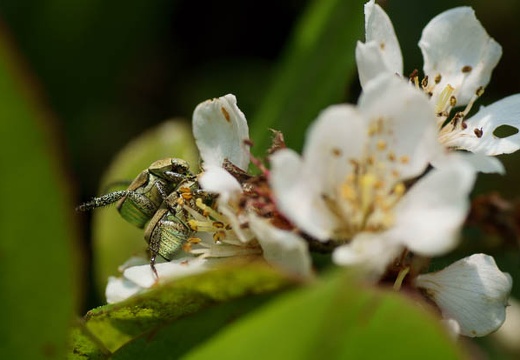 201005251156-DSC03073.jpg