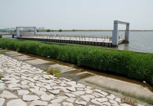 201005251213-DSC03095.jpg