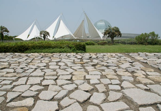 201005251218-DSC03102.jpg