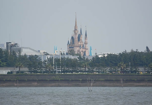 201005251224-DSC03107.jpg