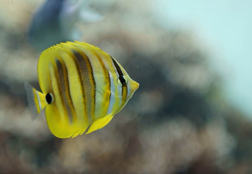 201005251448-DSC03288.jpg