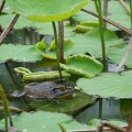 201005271240-DSC03422.jpg