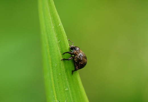 201005271433-DSC03680.jpg
