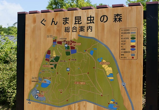 201005281044-DSC03680.jpg