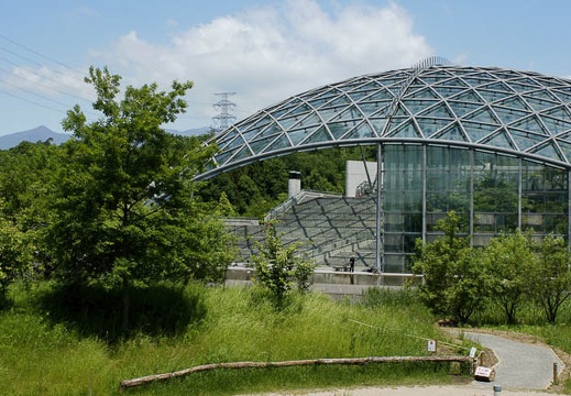 201005281049-DSC03686.jpg