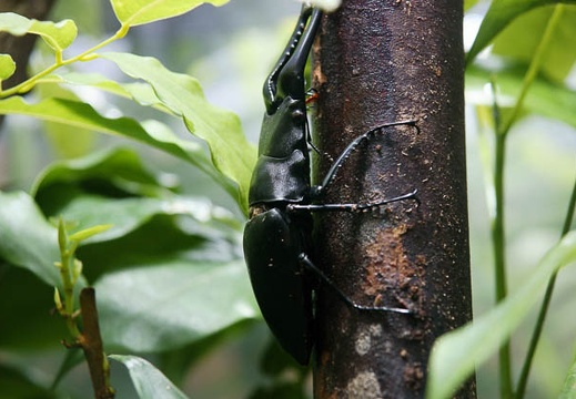 201005281059-DSC03705.jpg