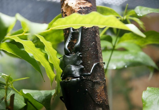 201005281100-DSC03706.jpg