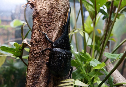 201005281102-DSC03711.jpg