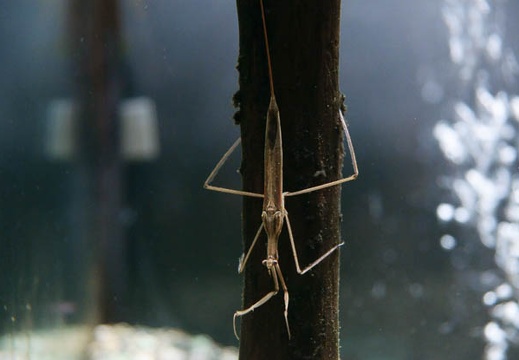 201005281107-DSC03717.jpg